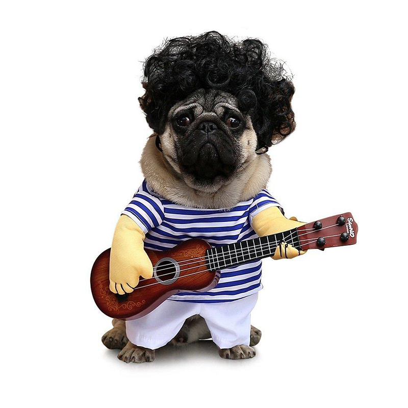 Dressing Up Dog Costume Guitar Player