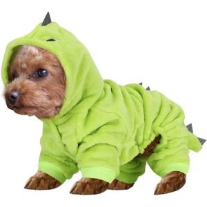 Dog Dinosaur Costume