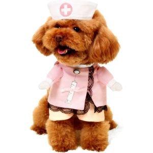 Dog Nurse Costume