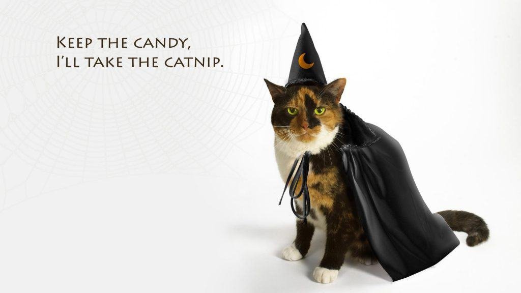 Keep the Candy